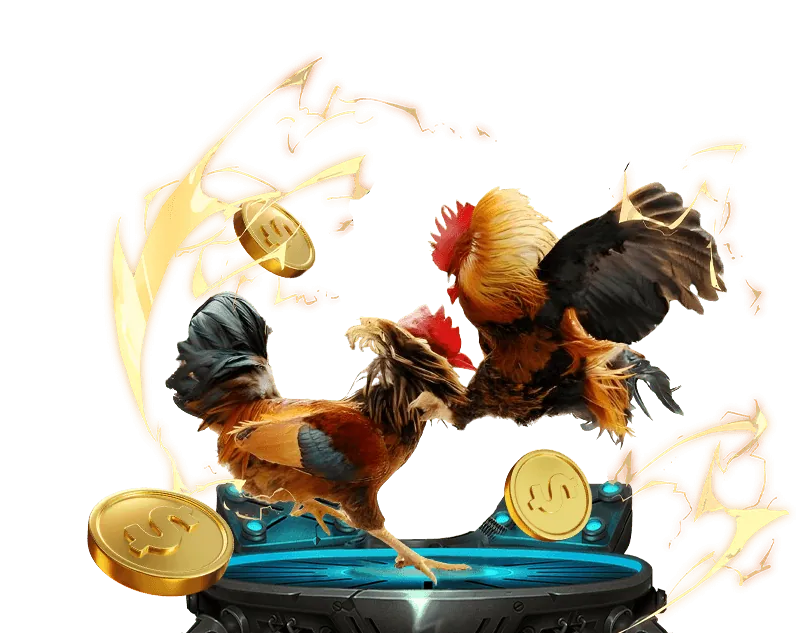 Đá gà trực tuyến Fly88: Trải nghiệm đỉnh cao